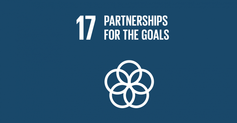 SUSTAINABLE DEVELOPMENT GOAL 17 | Sustainable First – Lead To Inspire